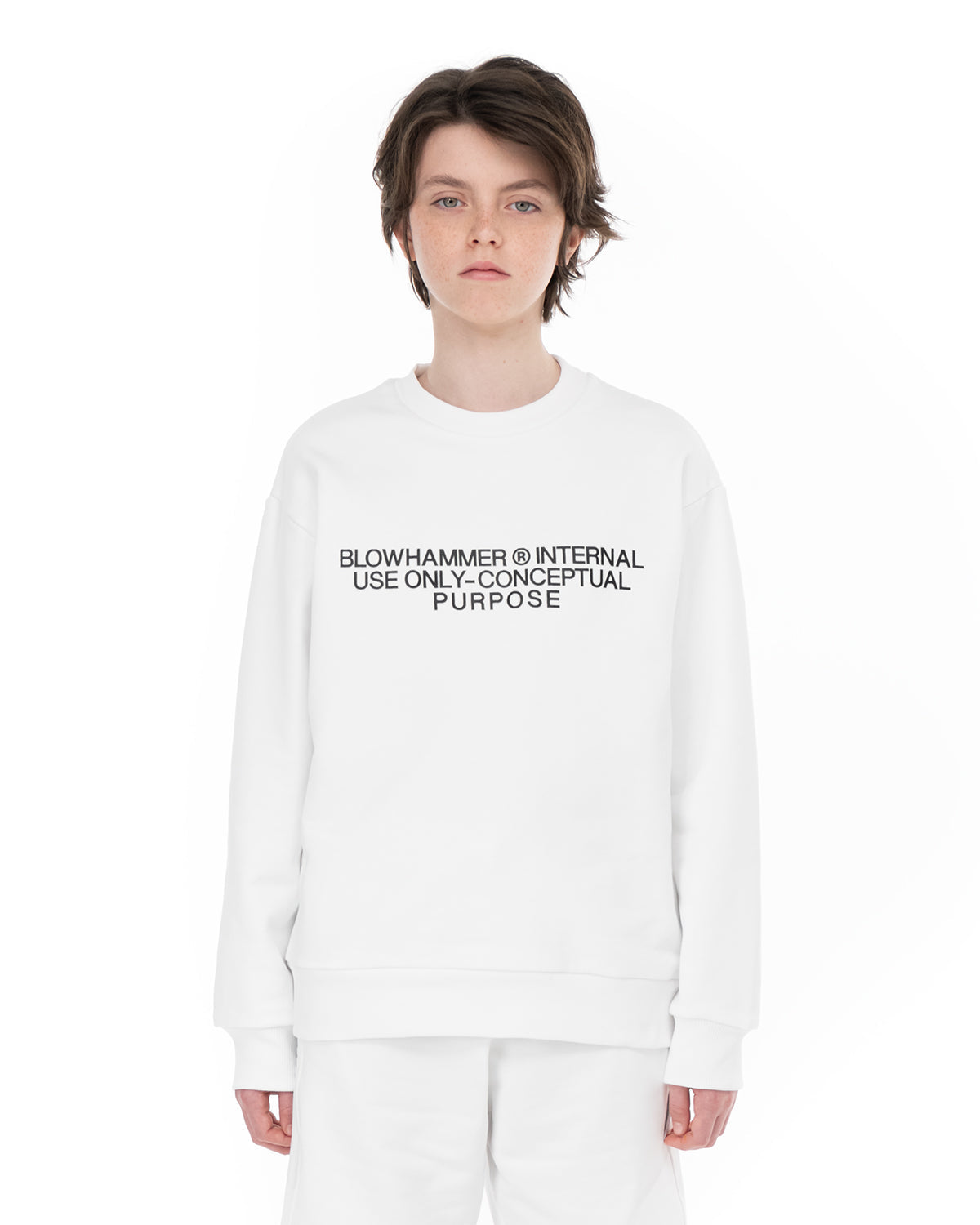 Concept  Crewneck Sweatshirt | Blowhammer